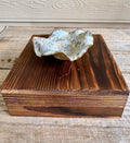 Moonstone Ruffle Trinket Dish — Cream & Blush