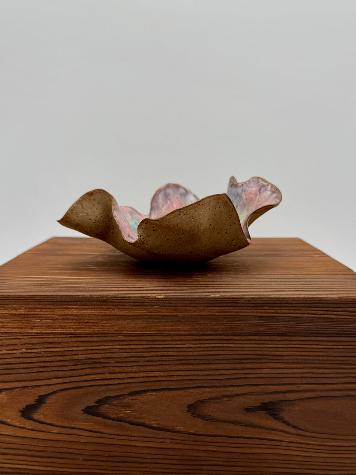 Blush Canopy Trinket Dish — Large