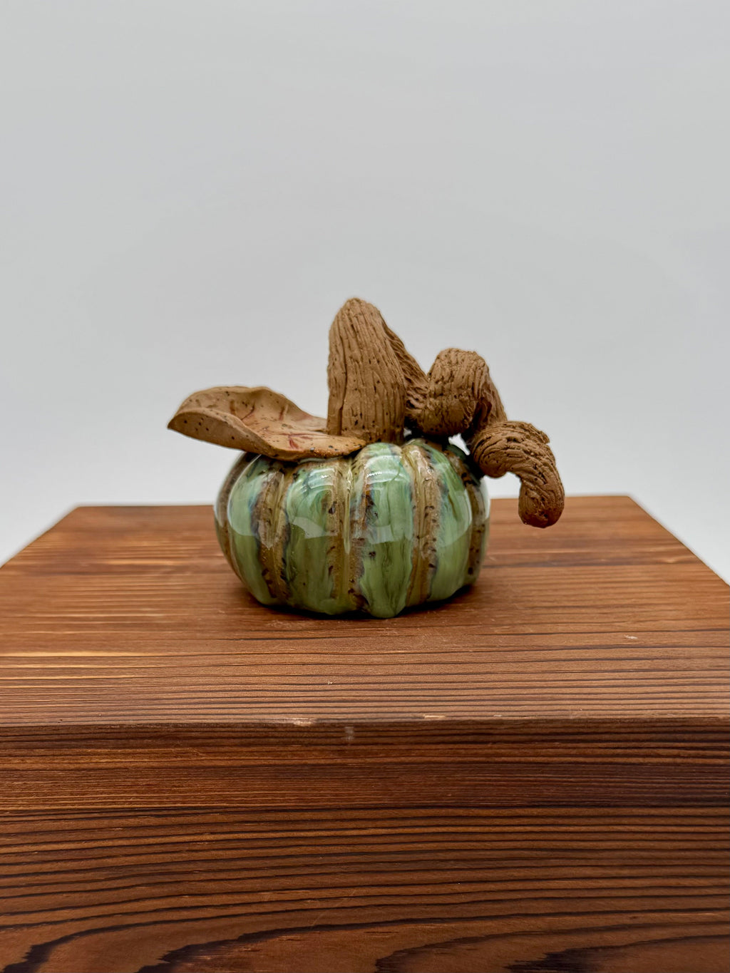 Sage Harvest Ceramic Pumpkin — Medium