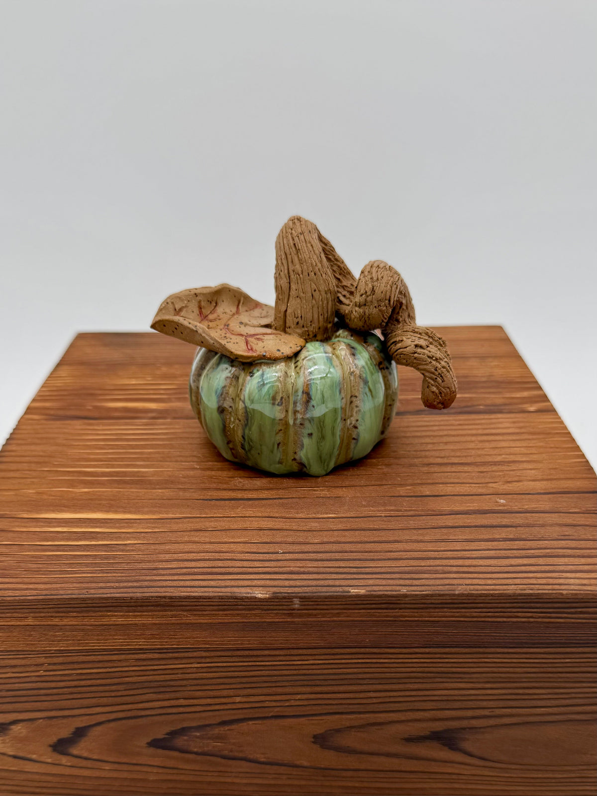 Sage Harvest Ceramic Pumpkin — Medium