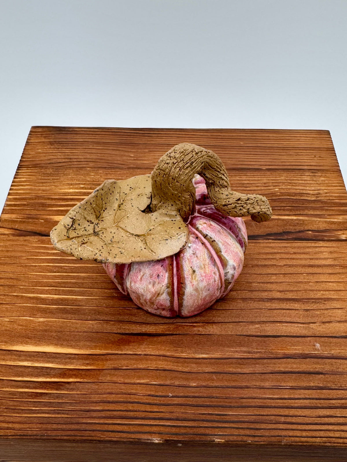 Blush Harvest Ceramic Pumpkin — Small