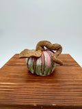Meadow Harvest Ceramic Pumpkin — Small